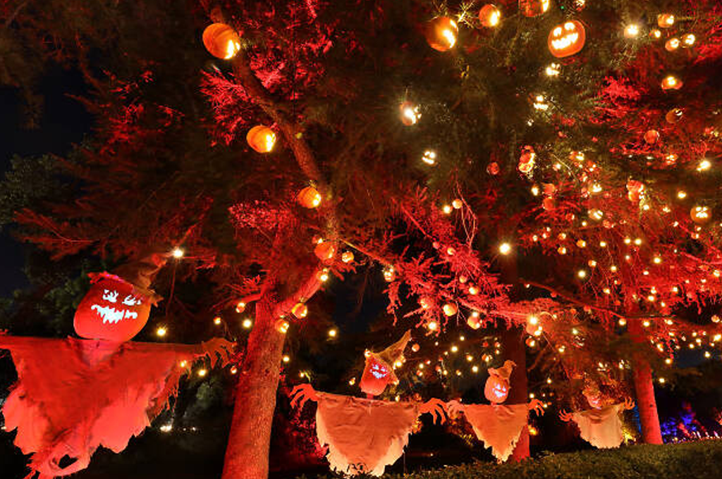 Spooky Things To Do in L.A. This Month (September 2025)